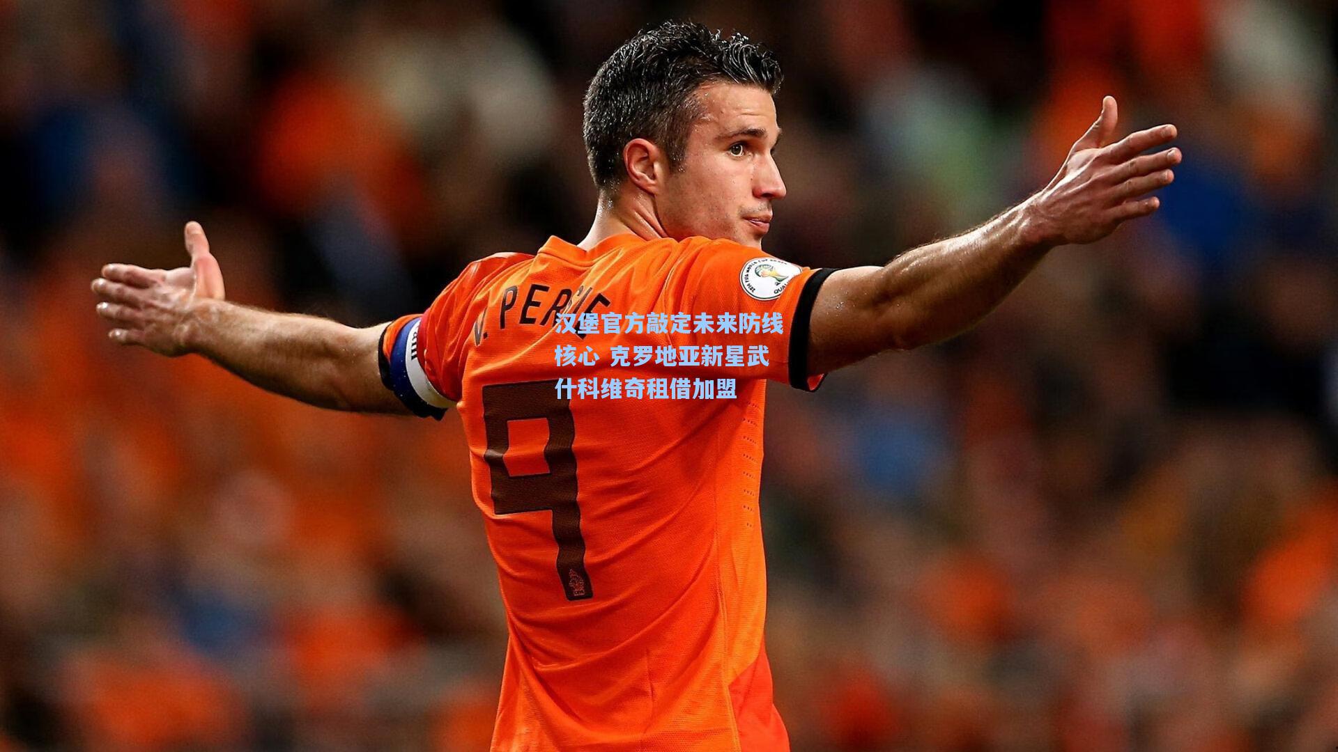 汉堡官方敲定未来防线核心 克罗地亚新星武什科维奇租借加盟